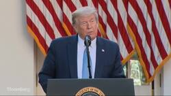 Trump Says He Has 'Constitutional Authority' to Adjourn Congress News Clip