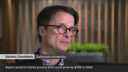 Some foods could get cheaper in 2024, but grocery bills may still go up News Clip