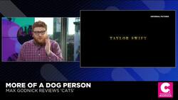 Death by a Thousand 'Cats': Review News Clip