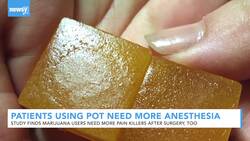 Marijuana Users May Need More Anesthesia During Surgery, Study Says News Clip