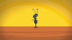 The Lever Instructional Video