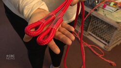 New rules designed to safeguard right whales while letting some P.E.I. lobster boats carry on News Clip