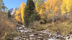 The Beauty and Significance of Autumn Instructional Video