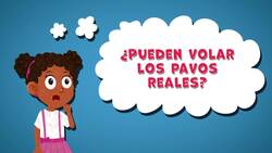 I WONDER - Can Peacocks Fly? Me Pregunto - Pueden Volar Los Pavos Reales? Instructional Video
