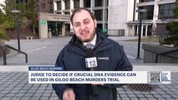 Crucial DNA evidence hearing underway in Gilgo Beach serial killer case News Clip
