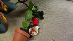 How to Use a Banana in Seven Unexpected Ways Instructional Video