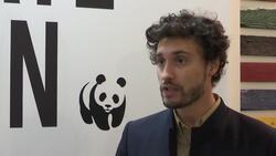 WWF reaction to France U-turn on fuel tax hike Instructional Video