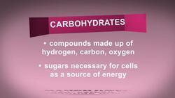 The Importance of Carbon Instructional Video