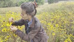 Drought conditions at Wakehurst's American prairie News Clip