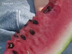How to Spit Watermelon Seeds Instructional Video