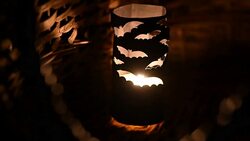 Atmosphere of Halloween Stock Footage