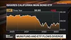 Why Muni Mutual Fund and ETF Flows Are Diverging News Clip