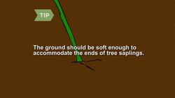 How to Build a Wigwam Instructional Video