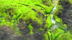 Chatsubomigoke Park at Nakanojo, Gunma, Japan Stock Footage