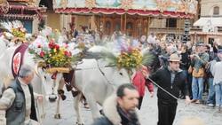 The Beauty and Culture of Florence Instructional Video