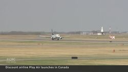 New carrier offers cheap flights to Europe via Iceland but can it last? News Clip