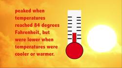 The spread of mosquito-borne diseases Instructional Video