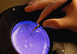 Luz ultravioleta Instructional Video