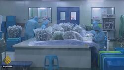 China economy grows despite pandemic News Clip