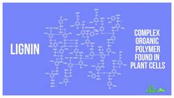 Why Do Old Books Smell So Good? Instructional Video