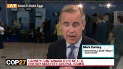 Carney Sees 'Wall of Opportunity' in Renewable Energy News Clip
