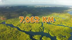 I WONDER - How Long Is The Amazon River? Instructional Video