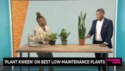 'Plant Kween' Talks Low Maintenance Care For Budding Plant Parents News Clip