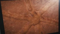 Researchers fire lasers, discover ancient Amazonian villages laid out like clocks Instructional Video