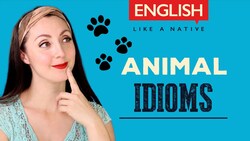 Animal Idioms - Common English Idioms With Meaning Instructional Video