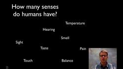 The Sensory System Instructional Video