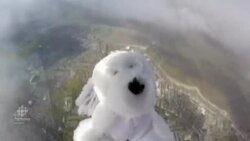 Sam the dog goes to space News Clip