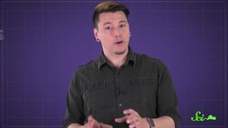 Why Do Dogs Tilt Their Heads? Instructional Video