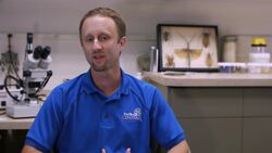 Pesticides vs. Insecticides Instructional Video