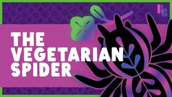 How One Spider Became (Mostly) Vegetarian Instructional Video