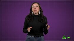 We Had Catnip All Wrong Instructional Video