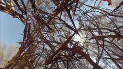 Camping Pitjantjatjara Style Instructional Video