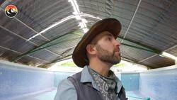 BIG ANGRY SNAKE - Can it be Rescued? Instructional Video