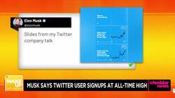 Elon Musk Claims Twitter User Sign Ups at All-Time High News Clip
