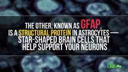 A Blood Test for Brain Damage, and AI Eye Doctors Instructional Video