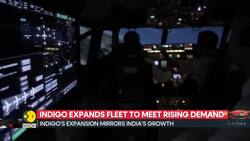 Indigo adds wide-body jets for global reach News Clip