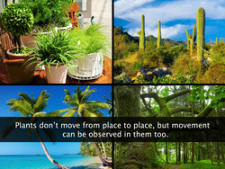 Movements in Plants Instructional Video