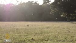 UK incentivises sustainable agriculture News Clip