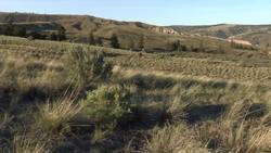 Bighorns at the Junction: venture into wilderness of BC Instructional Video