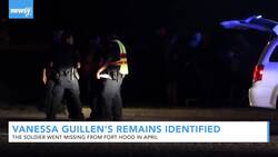 Remains Of Missing Soldier Vanessa Guillen Positively Identified News Clip