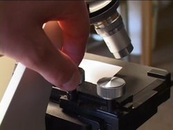 The Microscope: Helpful Hints for the Microscope Instructional Video