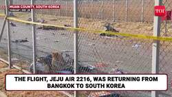 Jeju Air Flight Crashes At South Korean Airport, 170+ Killed, Rescuers Rush To Find Survivors News Clip