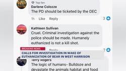 DA says they are looking into bear euthanized by Harrison police News Clip