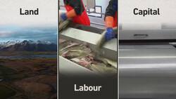 What Is The Most Equal Country on Earth? Instructional Video