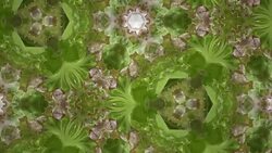 Kaleidoscope background footage for creative design Stock Footage