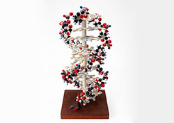Nucleic acid Instructional Video